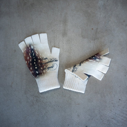 My Dear Gloves