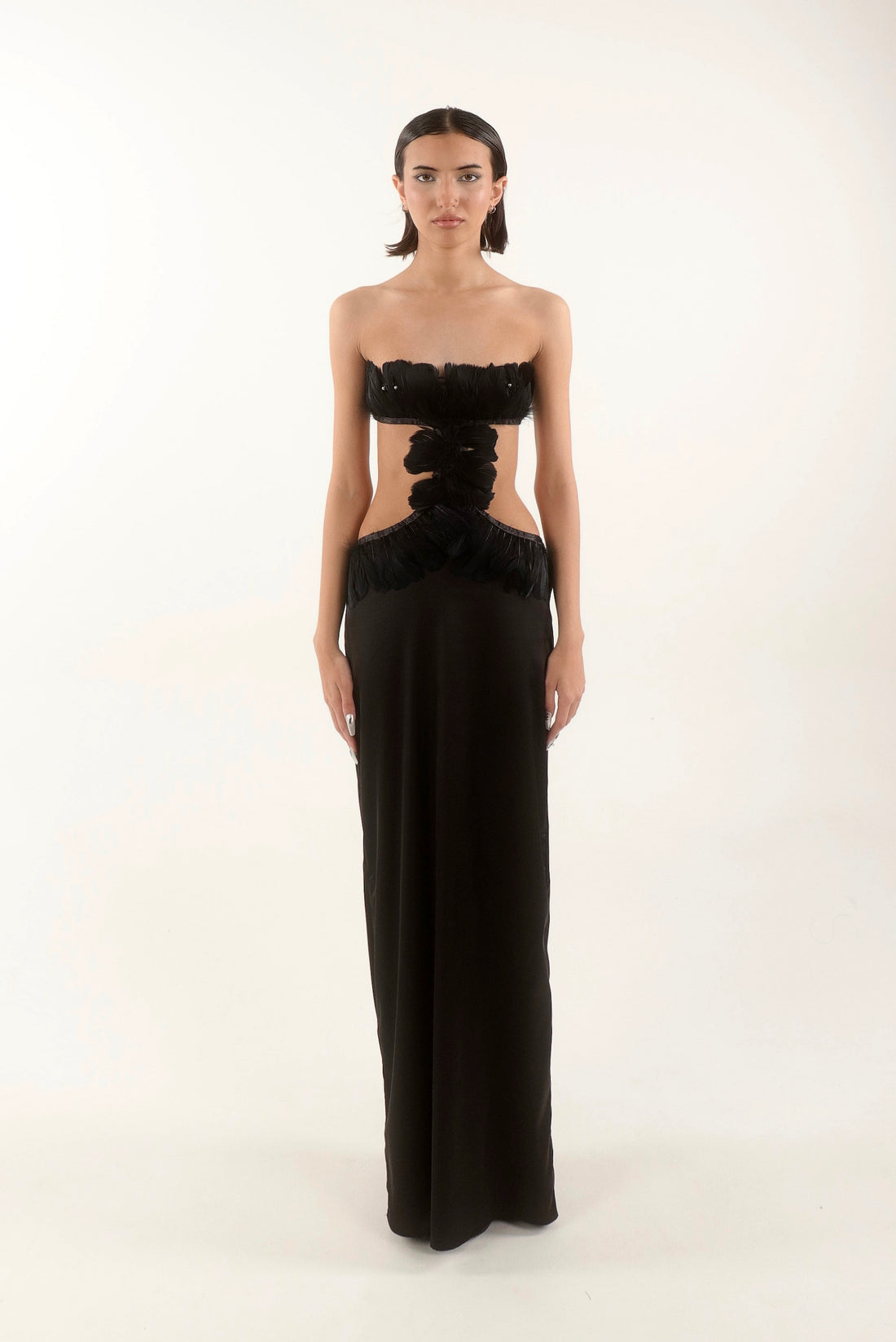 Plume Noire Gown