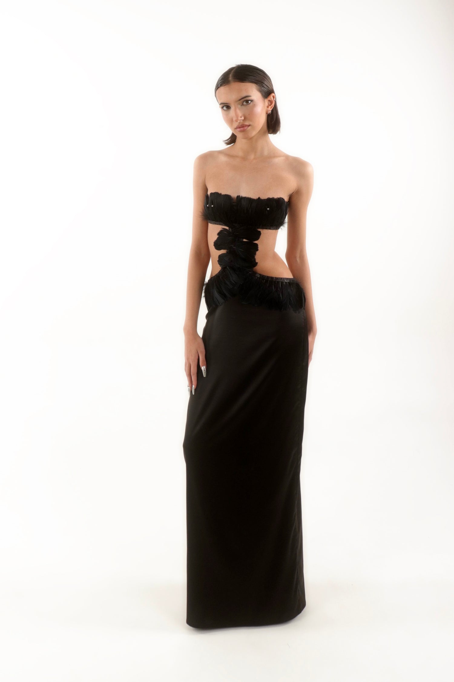 Plume Noire Gown