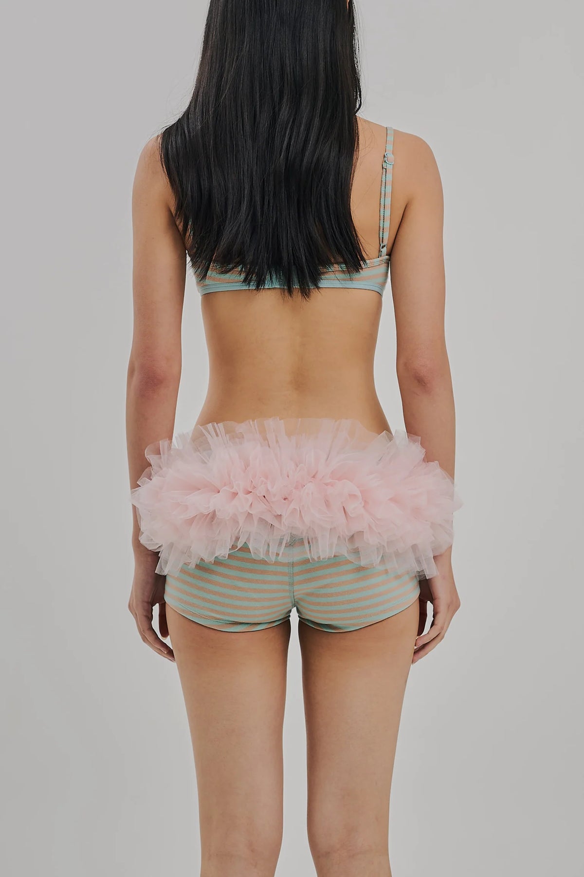 Flutter Tutu Petal